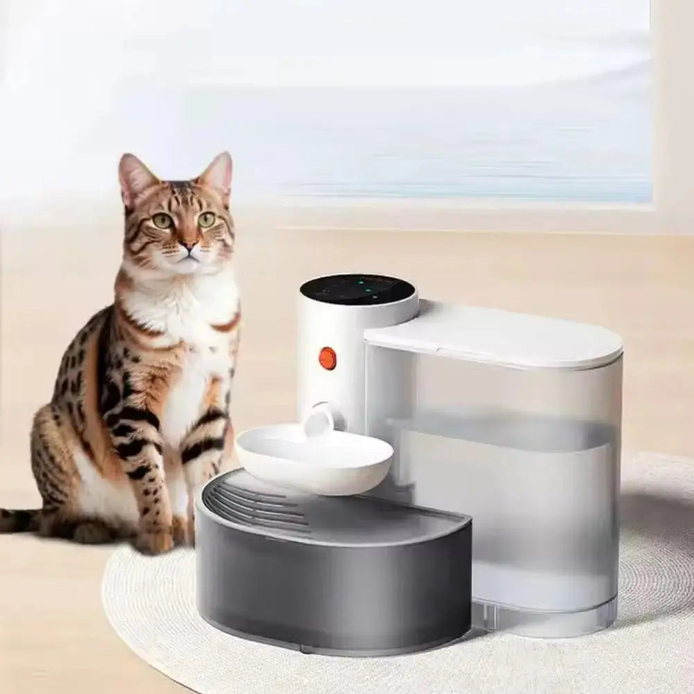 Bengal cat sitting near an automatic pet water dispenser with 3L capacity, ideal for pet hydration.